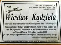 Gołębie zdjęcie