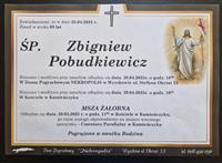 Gołębie zdjęcie